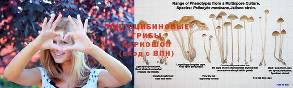 спайс Дмитриев