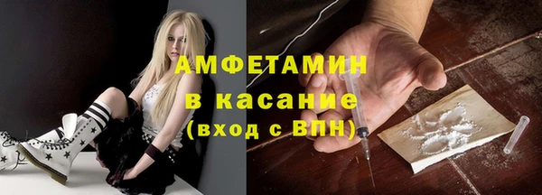 твердый Дмитровск