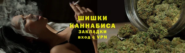 твердый Дмитровск