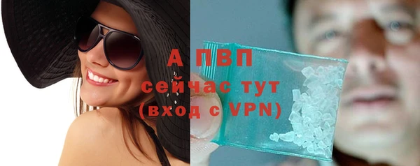 твердый Дмитровск