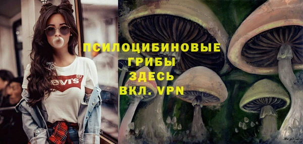 твердый Дмитровск