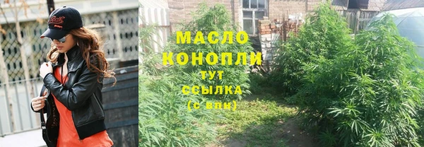 спайс Дмитриев