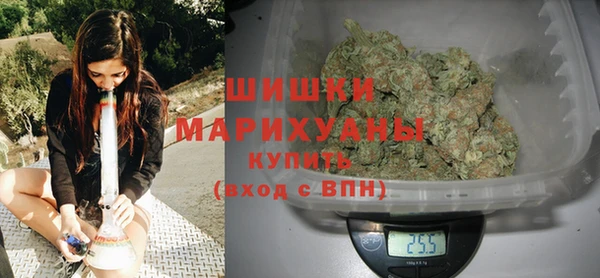 твердый Дмитровск