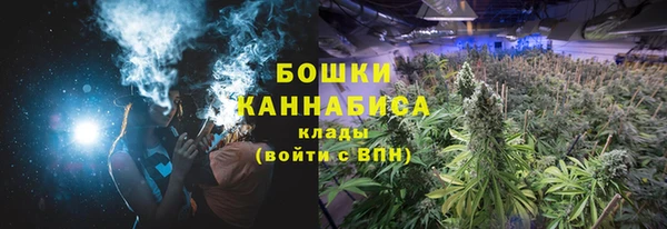 твердый Дмитровск