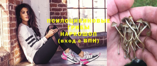 а пвп мука Дмитров