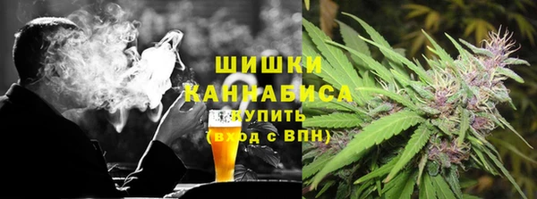 твердый Дмитровск