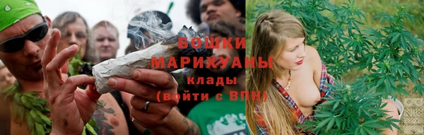 твердый Дмитровск