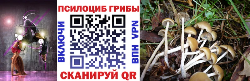 Псилоцибиновые грибы мицелий  Купить закладки  Калач-на-Дону 